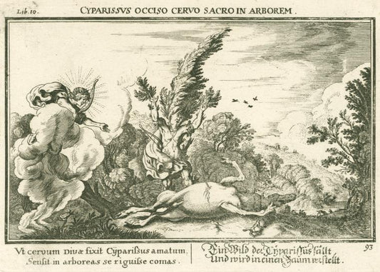 Cyparissus occiso ceruo sacro in arborem