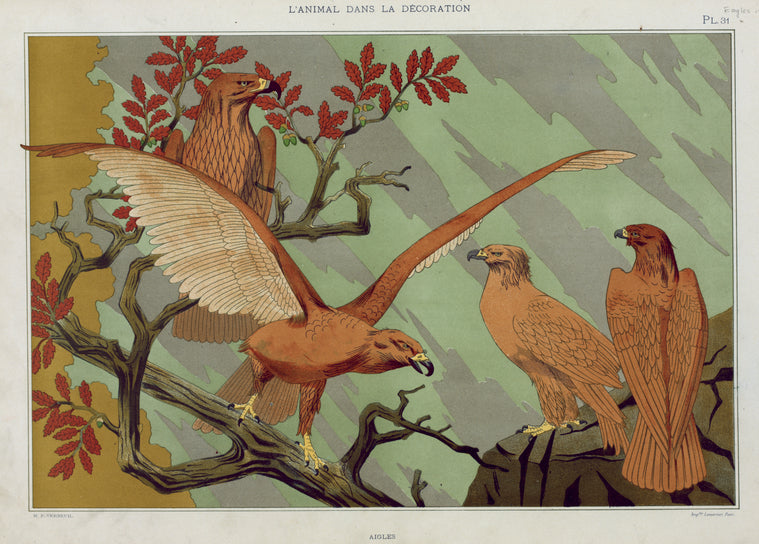 Aigles.