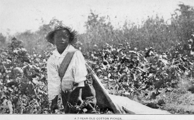 A 7-year-old cotton picker.