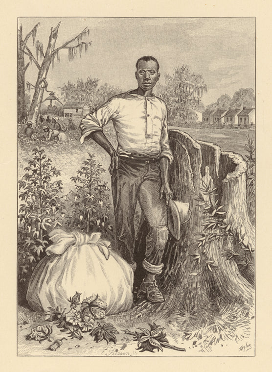 Cotton picker, 1860s
