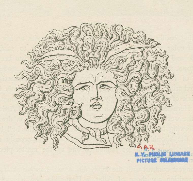 Medusa