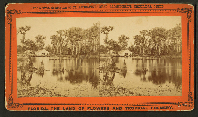 Silver Springs on the Oklawaha River.