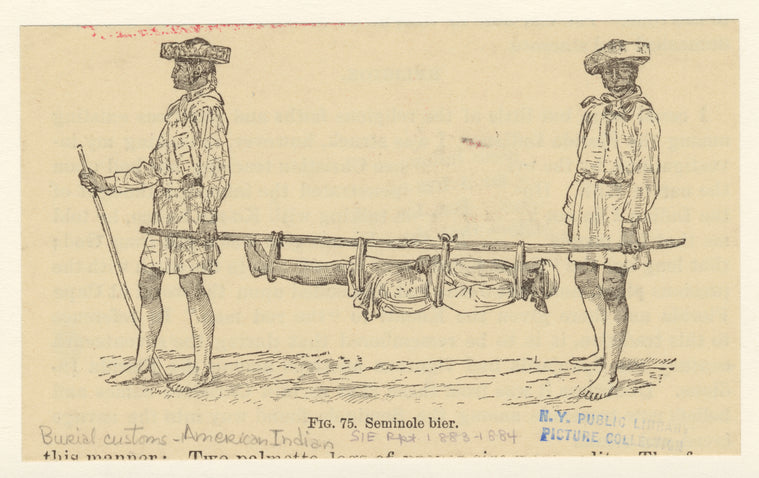 Seminole bier