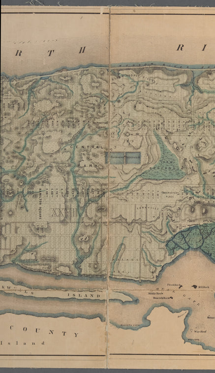 Sanitary & topographical map of the city and island of New York: prepared for the Council of Hygiene & Public Health of the Citizens' Association
