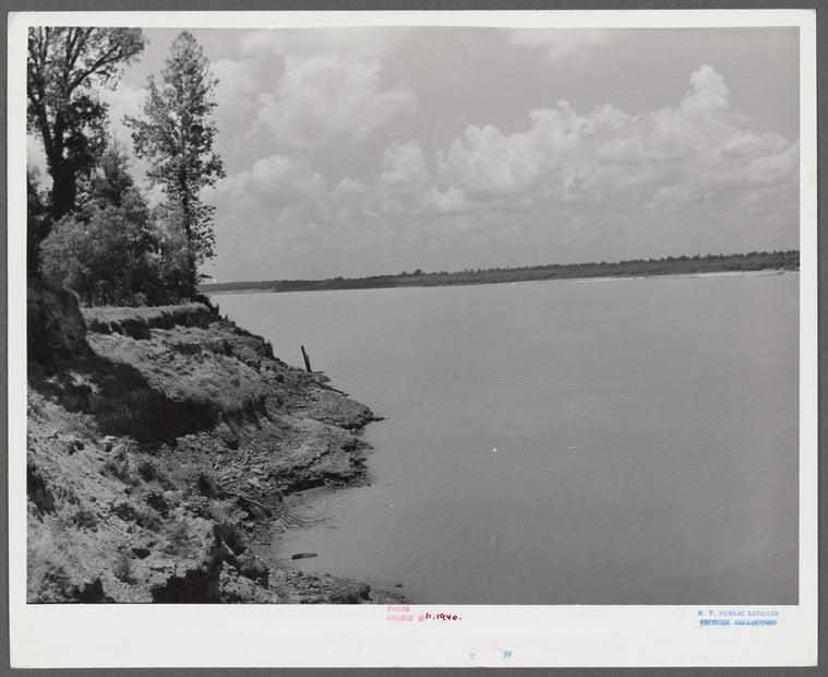 Mississippi River near Perthshire. Mississippi Delta, Mississippi.