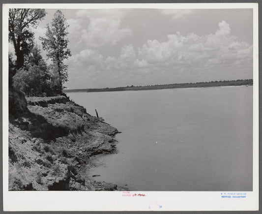 Mississippi River near Perthshire. Mississippi Delta, Mississippi.
