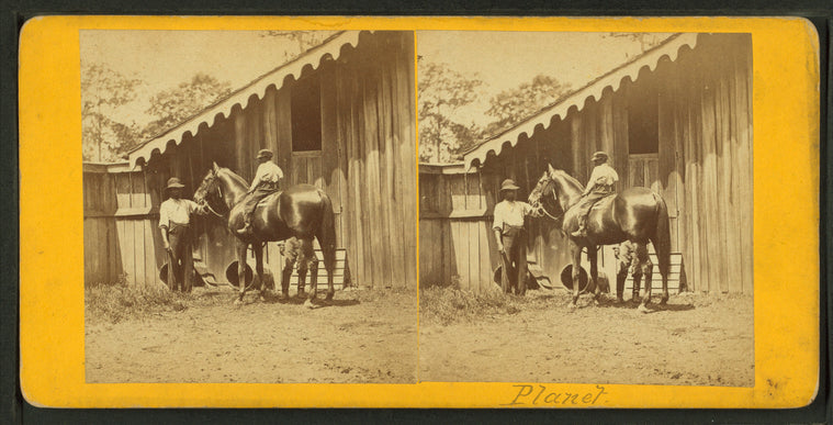 Horse named Planet.