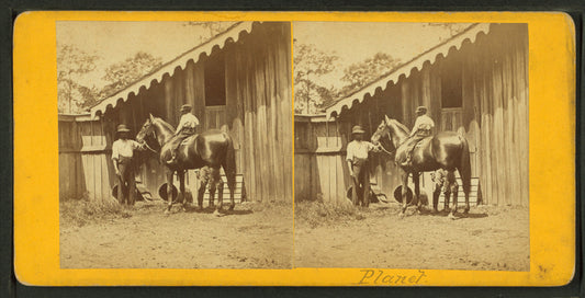 Horse named Planet.