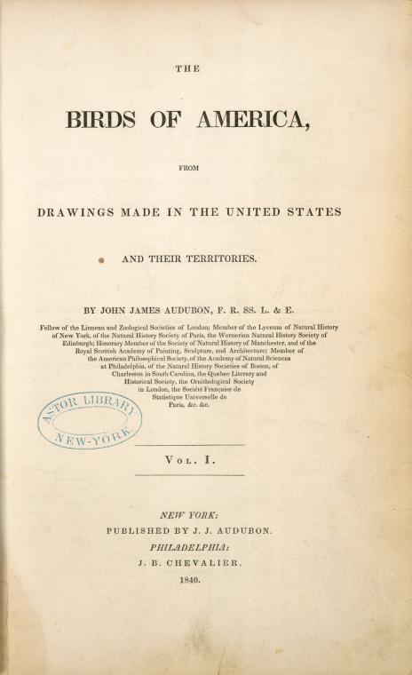 The birds of America...:  from drawings made in the United States and their territories