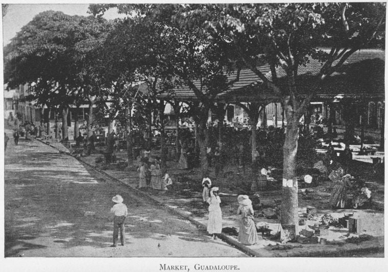 Market, Guadaloupe.