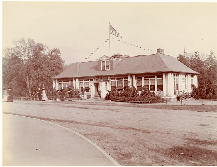 Bronx Zoo, c1911