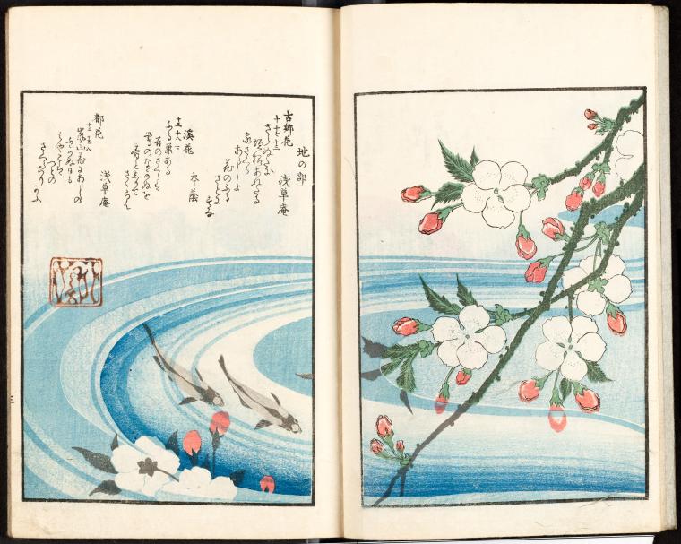 Earth: Cherry blossoms and trout