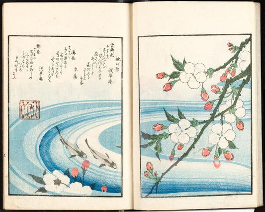 Earth: Cherry blossoms and trout