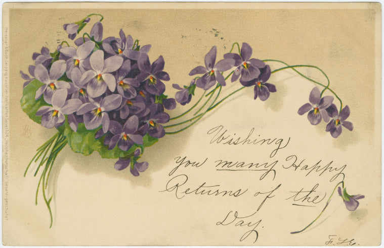 Purple flowers