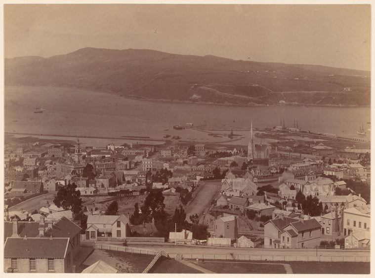 Dunedin from Roslyn