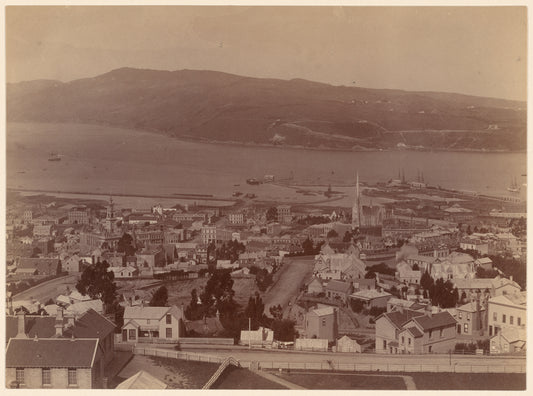 Dunedin from Roslyn