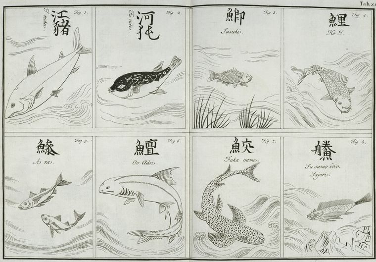 Fishes.