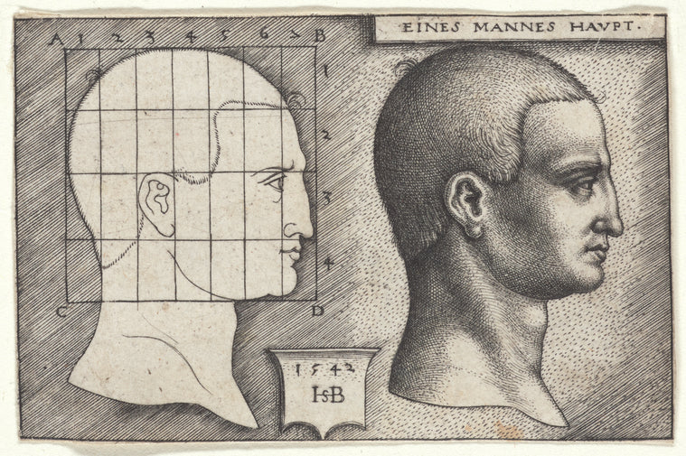 Profile Study of Man's Head