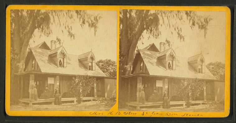 Residence of Mrs. H. B. [Stowe], St. Johns River, Fla.