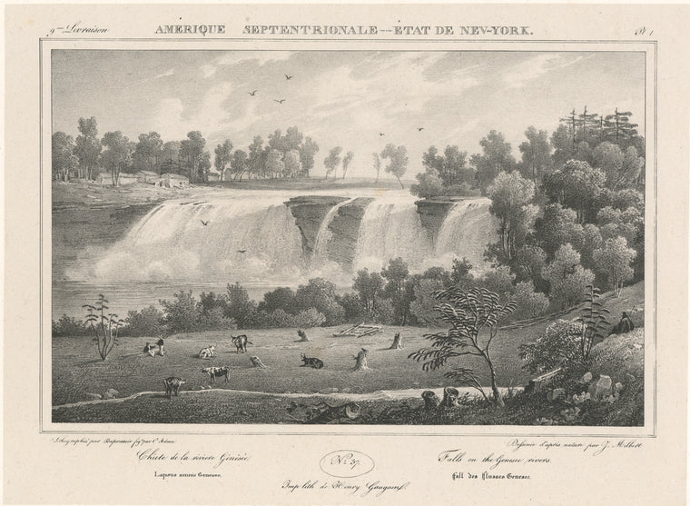 Falls on the Genesee rivers.