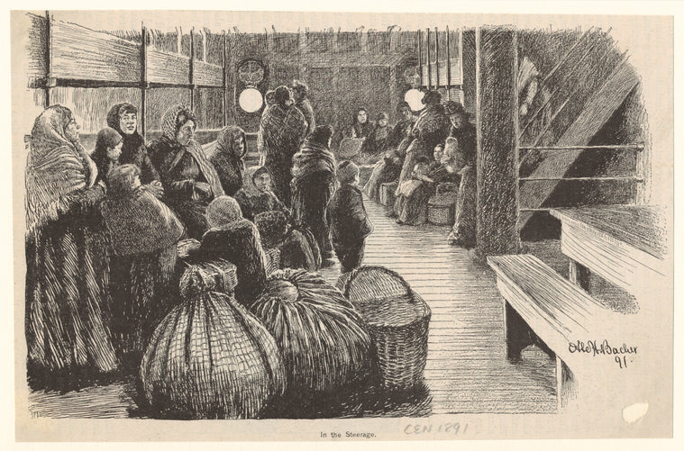 In the steerage