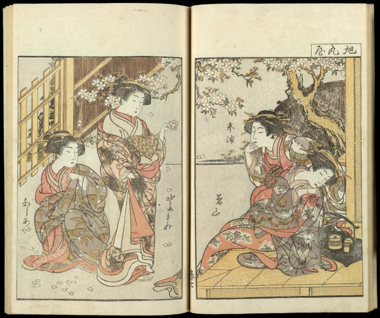 Kotoura, Hyama, Someginu, Karaaya of Asahimaruya beneath a cherry tree.