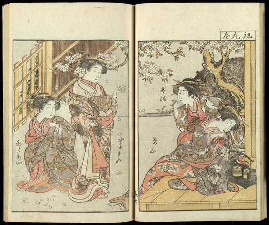 Kotoura, Hyama, Someginu, Karaaya of Asahimaruya beneath a cherry tree.