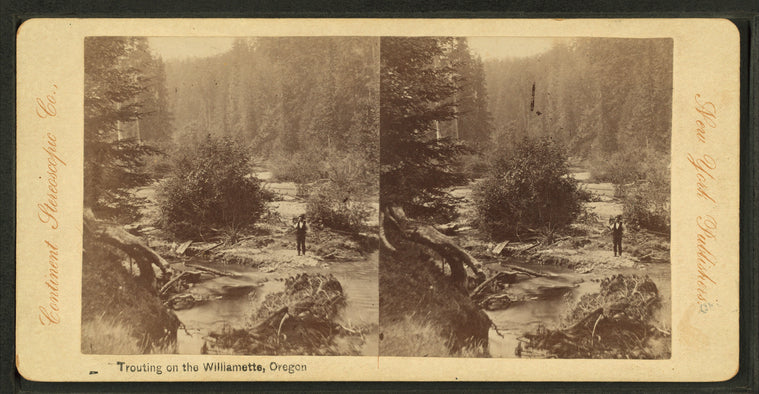 Trouting on the Williamette, Oregon.