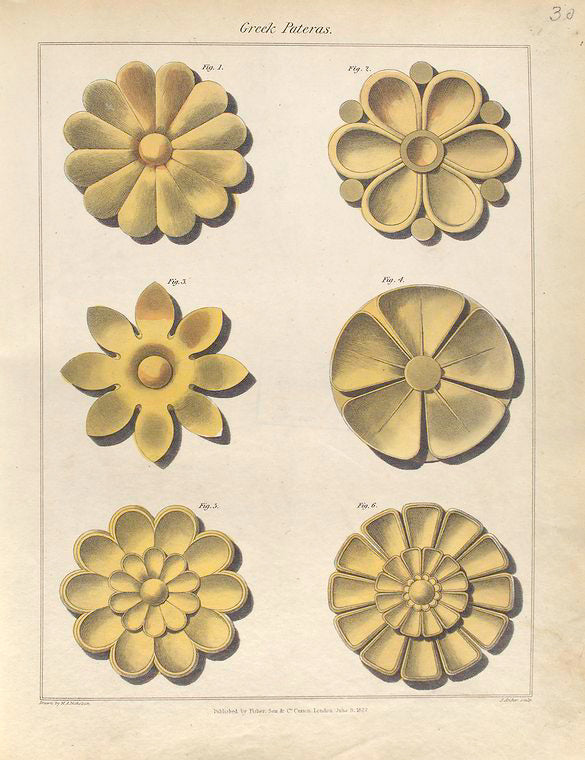 Greek pateras.