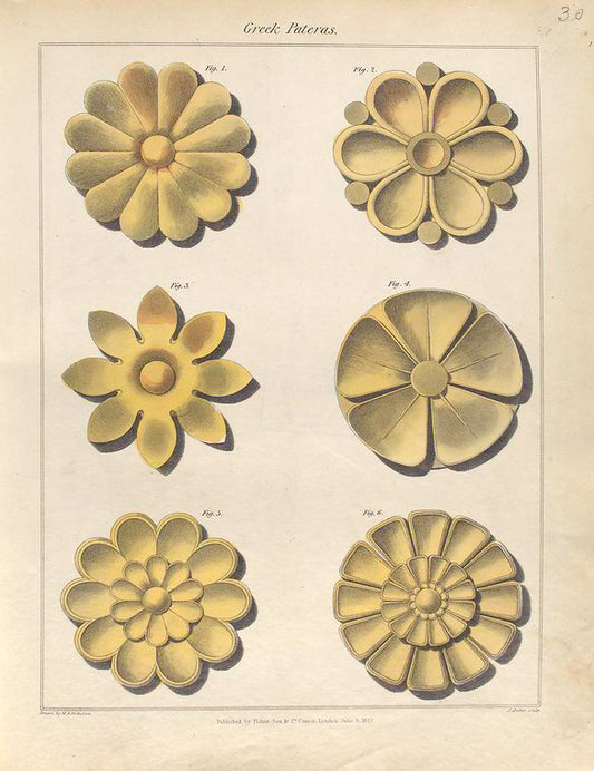Greek pateras.