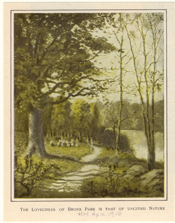 The loveliness of Bronx Park is that of uncitied nature