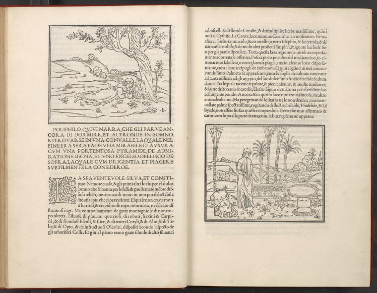 Poliphilo Qvivi…