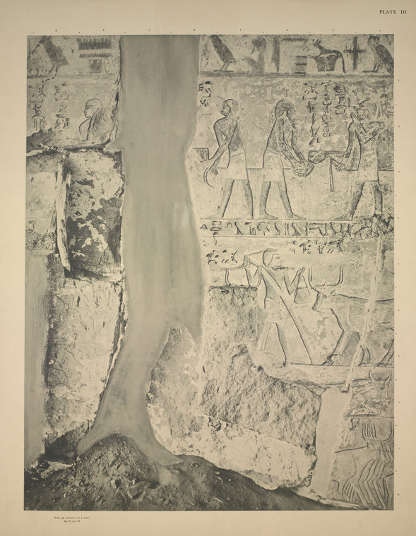 The harvest scene.