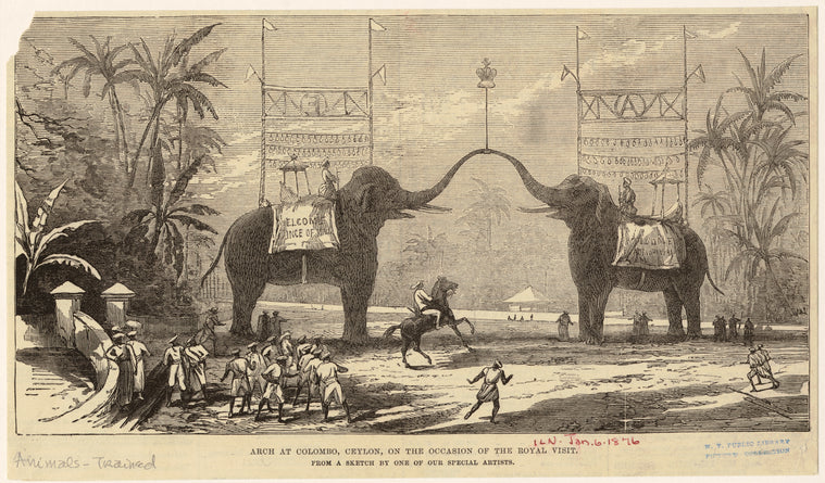 Arch at Colombo, Ceylon, on the occasion of the royal visit