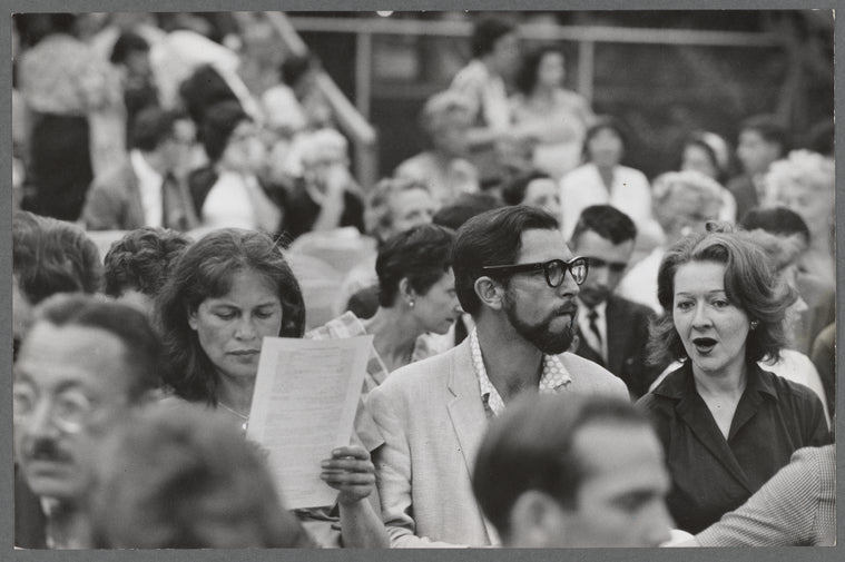 Shakespeare in the Park audience
