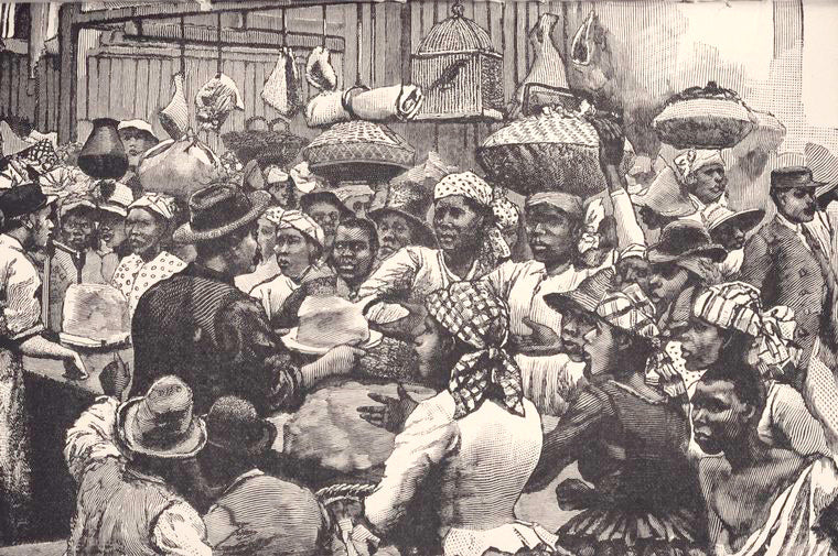 The Coloured races