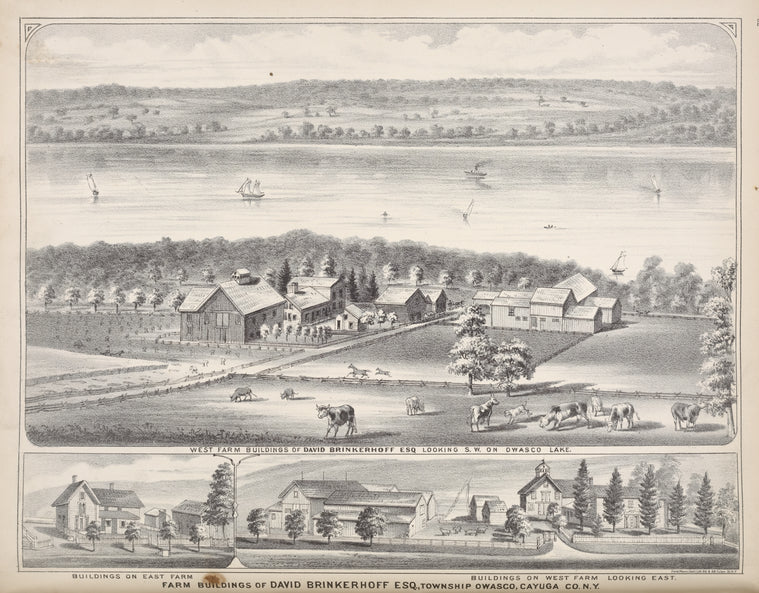 West Farm Building of David Brinkerhoff ESQ. Looking S.W. on Owasco Lake.; Building on East Farm; Building on West Farm Looking East.; Farm Buildings of David Brinkerhoff ESQ., Township Owasco, Cayuga Co., N.Y.
