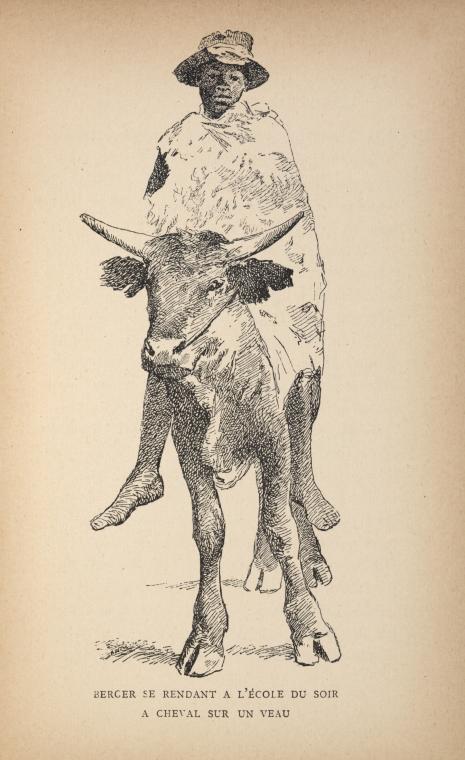 Berger se rendant à l'école du soir à cheval sur un veau.