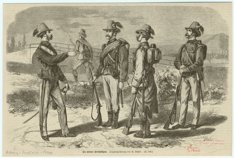 Die wiener Feiwilligen