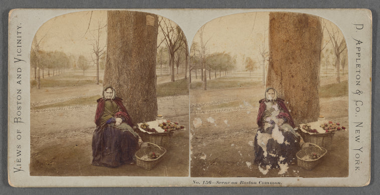 Scene on Boston Common