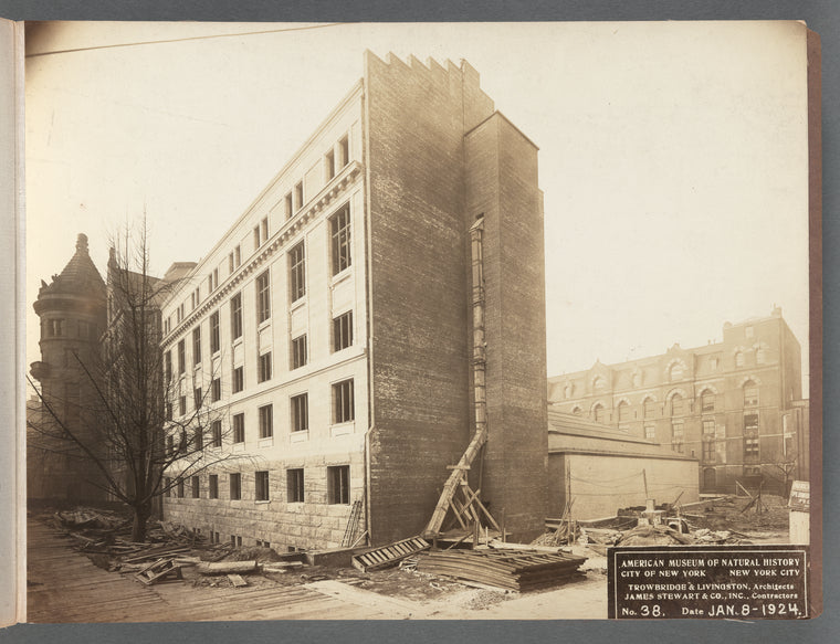 American Museum of Natural History, East Wing construction