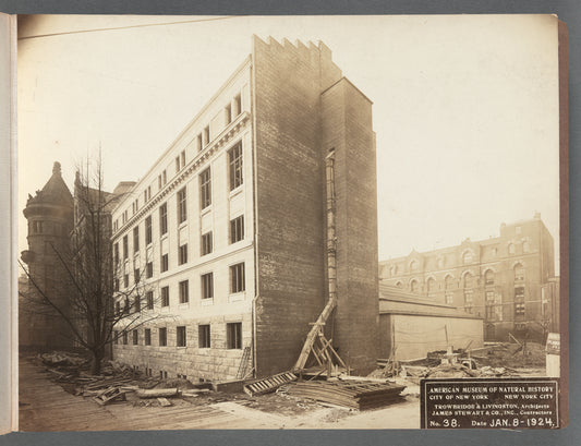 American Museum of Natural History, East Wing construction