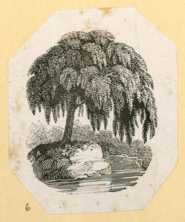 Trees.