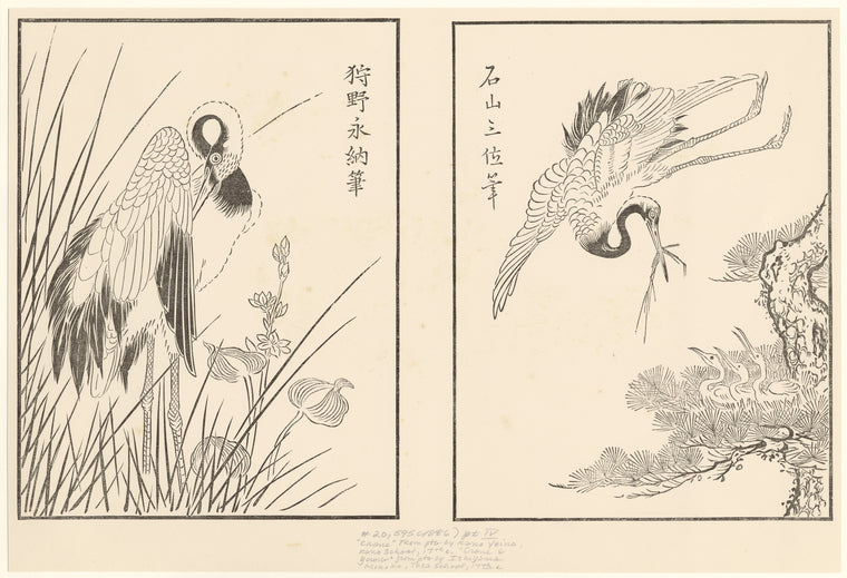 "Crane" ; "Crane & young"