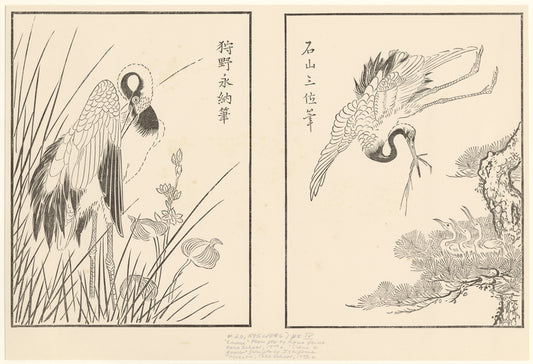 "Crane" ; "Crane & young"