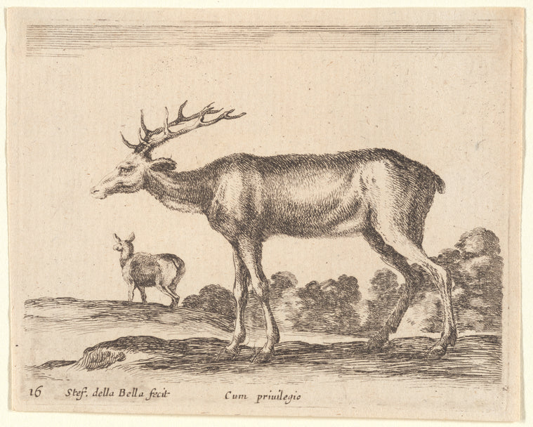 Un cerf allant à gauche