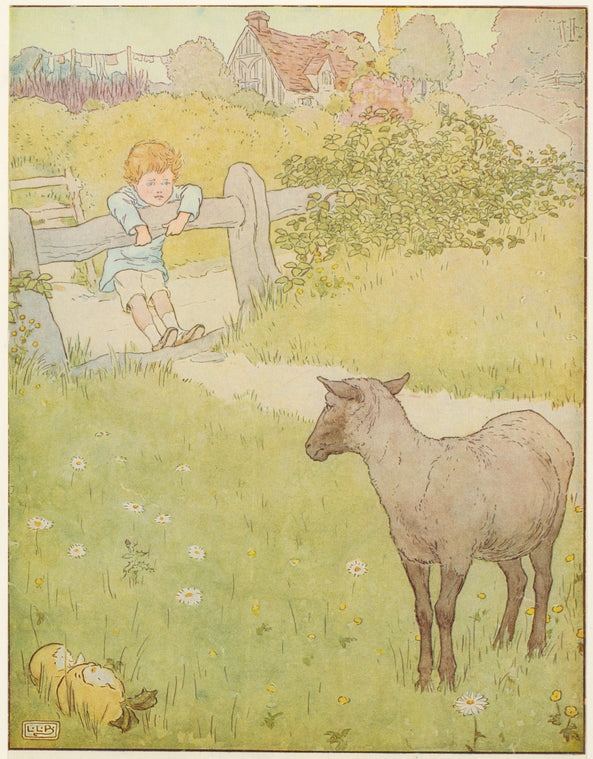 Little boy and black sheep.