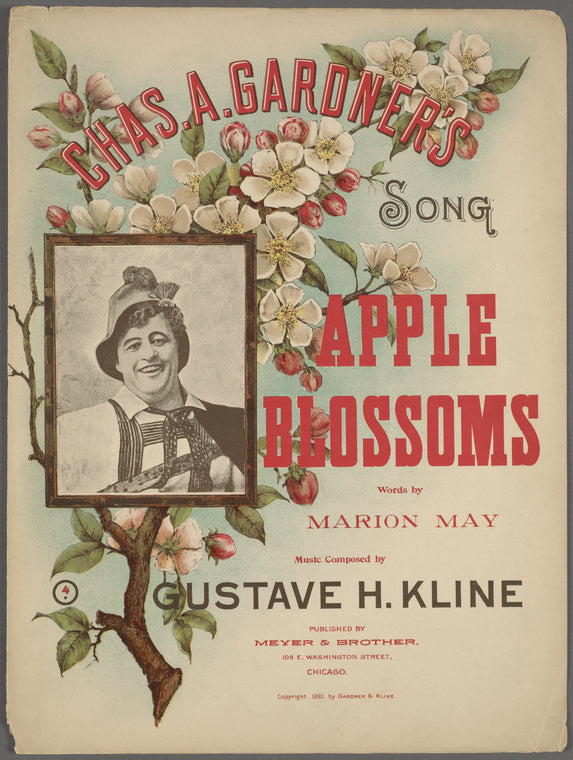 Apple blossoms