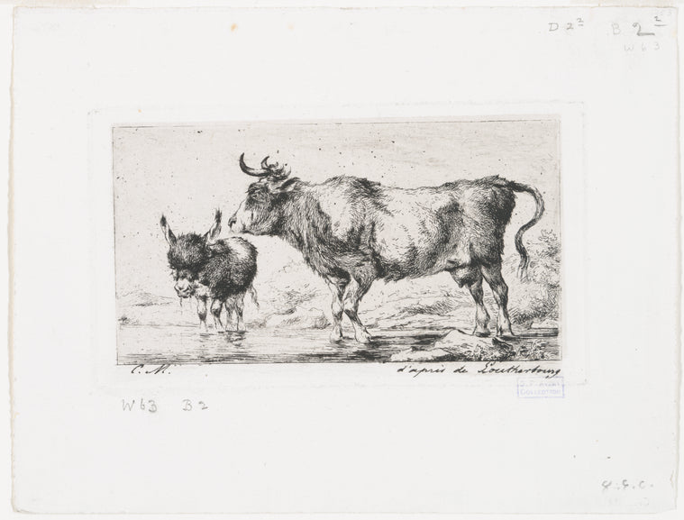 La vache et l'ânon.