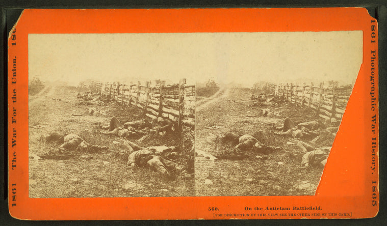 On the Antietam battlefield. [View of dead soldiers beside the fence on the west side of Hagerstown Road.]